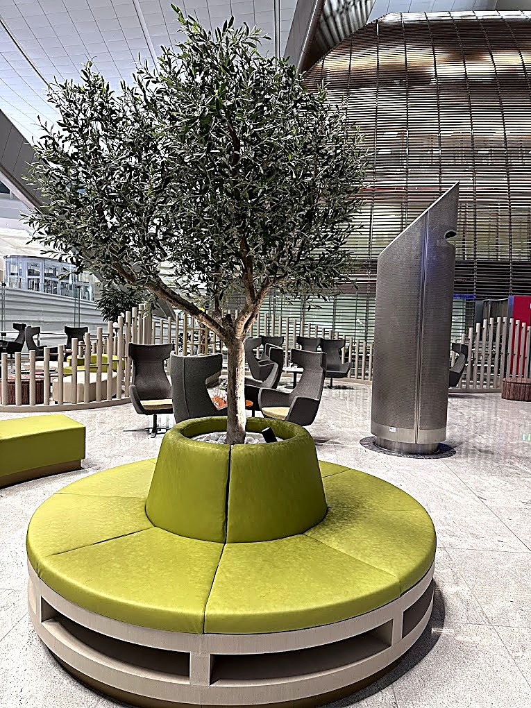 Circular green banquette around a planted olive tree beneath a curved metallic ceiling