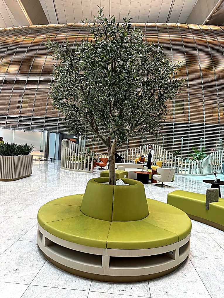 Lounge seating around a planted olive tree beneath the curved vaulted ceiling